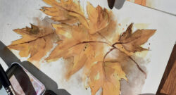 Natures mortes automnales